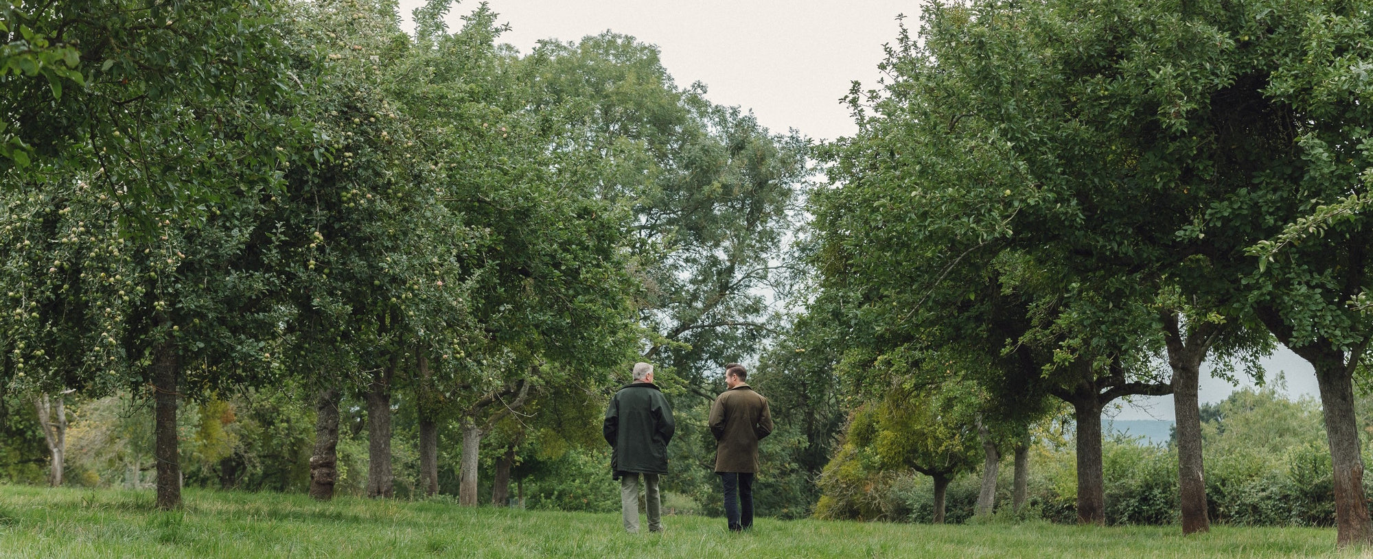 Father and son, cider making generations five and six walking in a traditional standard orchard in the Teme Valley