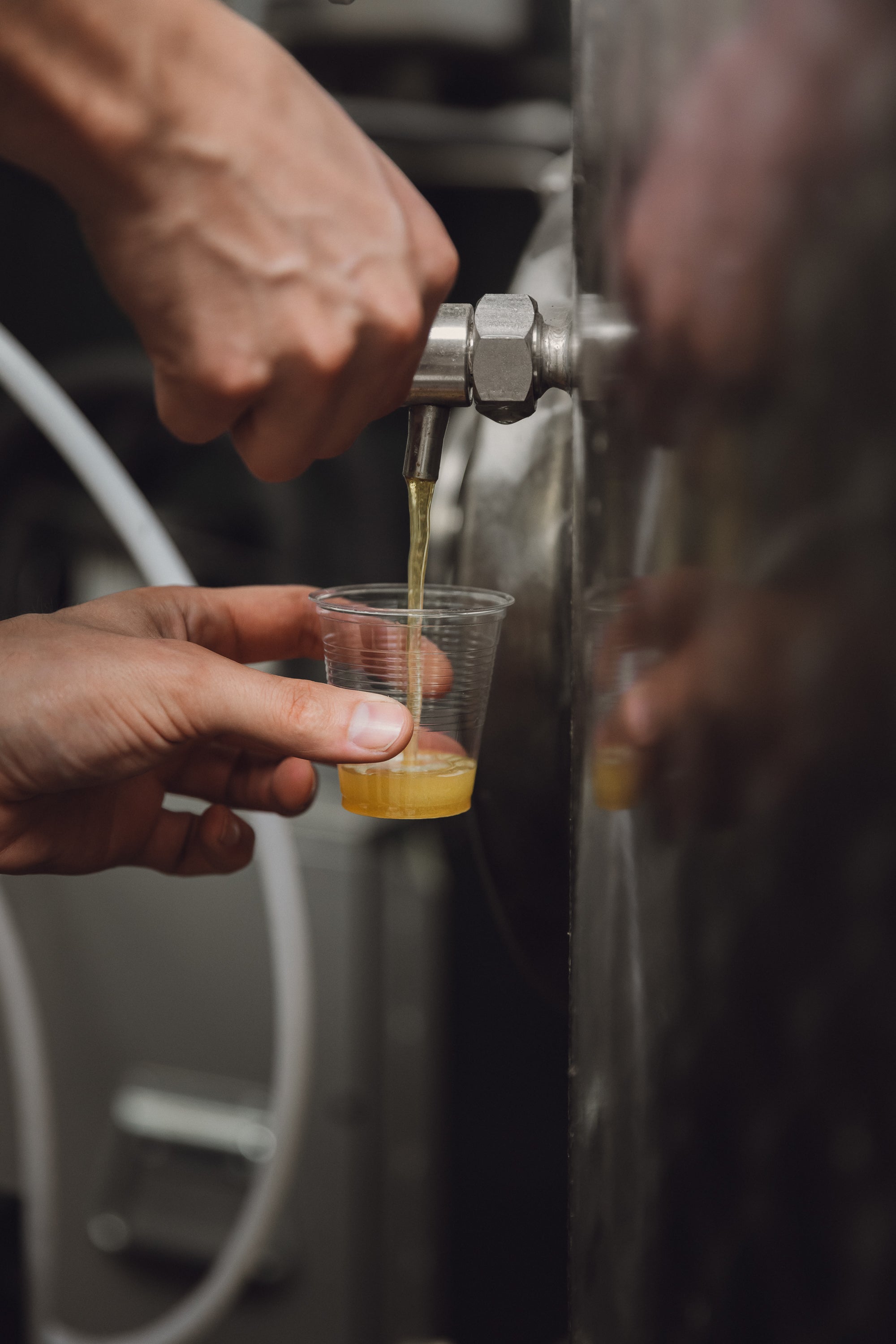 Tasting some arrested fermentation cider out of the chill tank